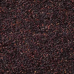 Canola Seeds
