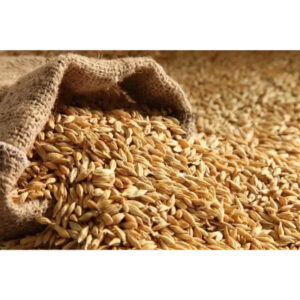 Barley Grains